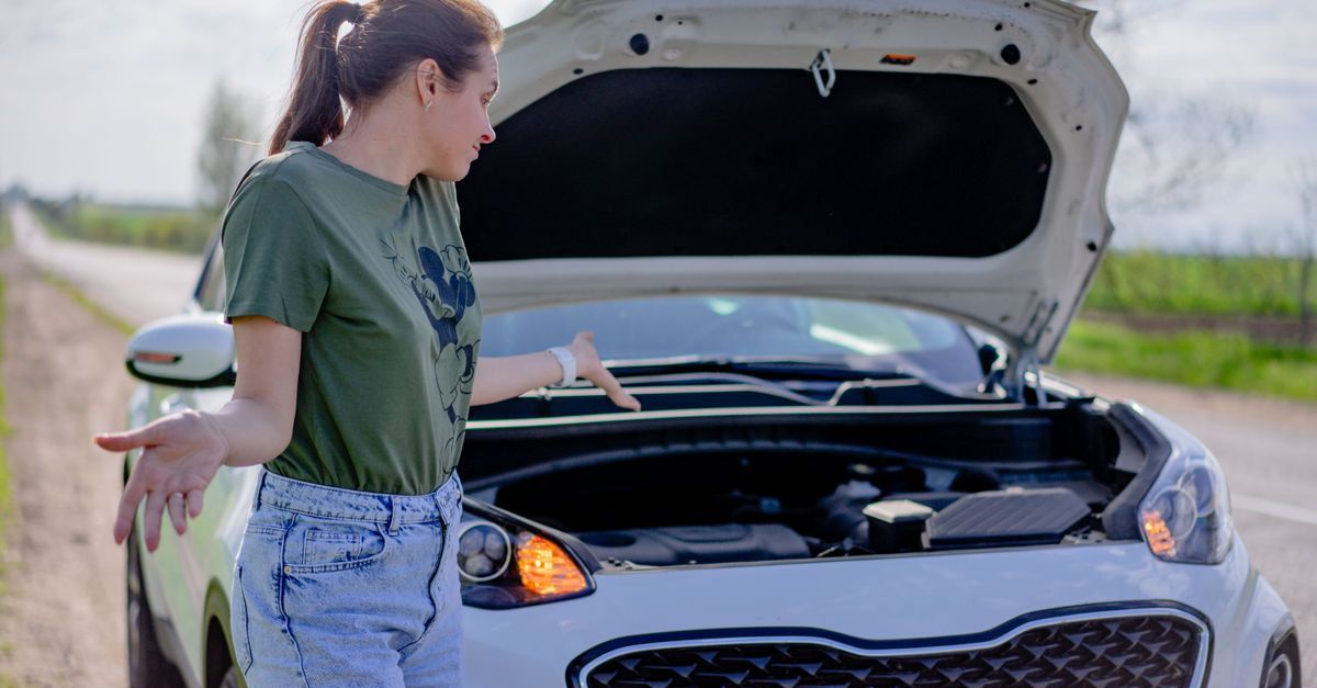 A person standing beside a car with the hood raised at the roadside